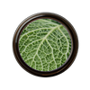 Vitamin K icon